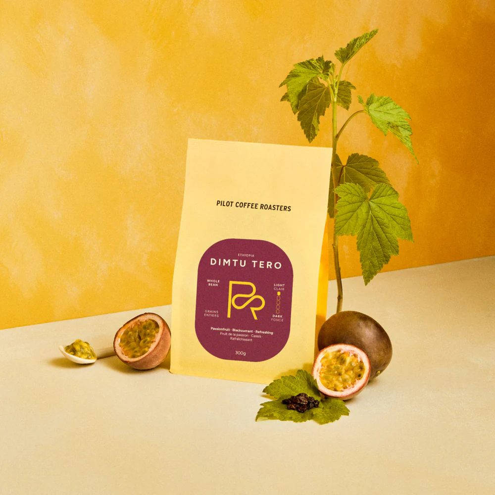 Pilot Coffee Roasters – Dimtu Tero – Ethiopia