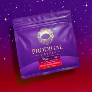 PRODIGAL – O Night Divine