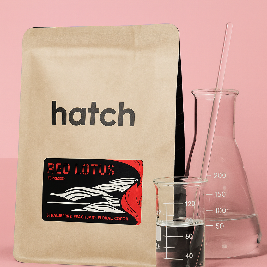 Introducing Hatch Coffee Roasters: Precision, Innovation, and Canada’s Most Technically Driven Coffee