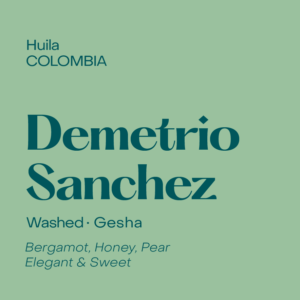 Subtext Coffee Roasters - Colombia Demetrio Sanchez, Washed Gesha