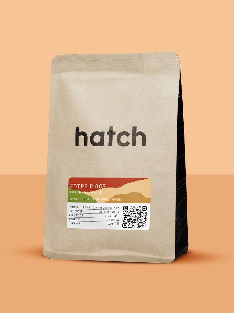 HATCH – Entre Pinos Caturra Washed