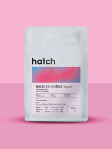 HATCH - Hachi Colombia 'Amane'
