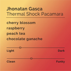 Black White Roasters – Jhonatan Gasca - Thermal Shock Pacamara