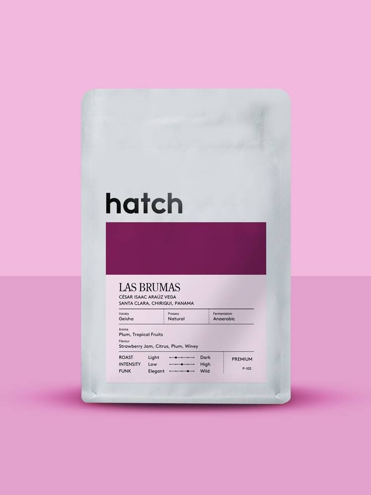 HATCH – Las Brumas Geisha Anaerobic Natural