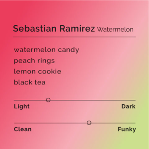 Sebastian Ramirez - Watermelon