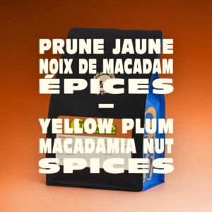 Zab coffee roaster – MEXICO – CIFUENTES