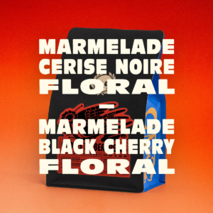 Zab coffee roaster – COLOMBIA – PROYECTO BERRUECOS