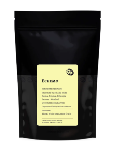 TIM WENDELBOE – Echemo