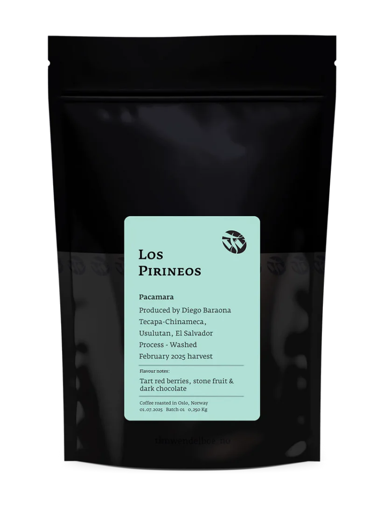 TIM WENDELBOE – Los Pirineos Pacamara