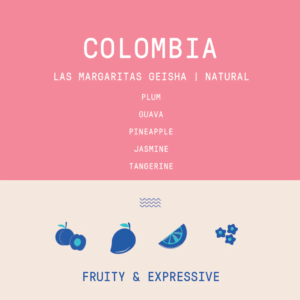 Rogue Wave Coffee – Colombia – Las Margaritas Geisha