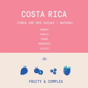Rogue Wave Coffee – Finca VOO Red Catuai