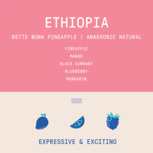 Rogue Wave Coffee – Ethiopia – Bette Buna Taferi Kela Pineapple Co-Ferment