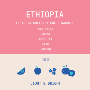 Rogue Wave Coffee – Chelbesa One