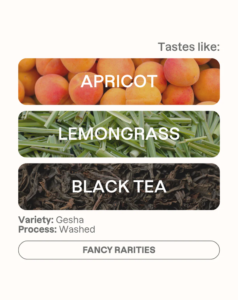 MONOGRAM – Kenia Gomez