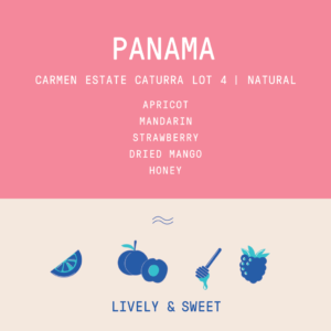 Rogue Wave Coffee – Panama – Carmen Estate Caturra Lot 4 | Natural