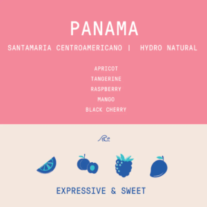 Rogue Wave Coffee – Santamaria Estate Centroamericano