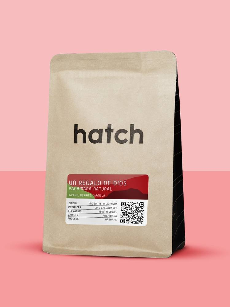HATCH – Un Regalo de Dios Pacamara Natural