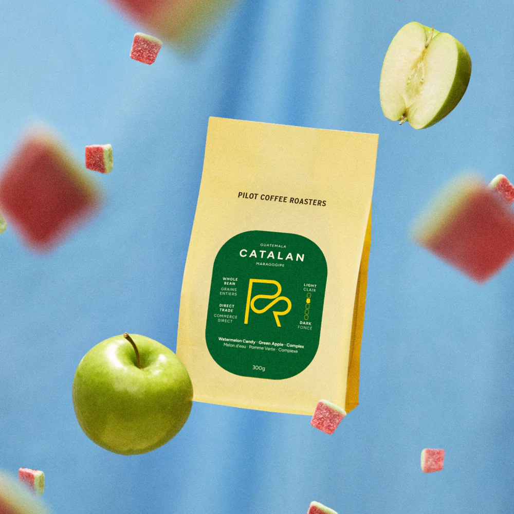 Pilot Coffee Roasters - Catalan Maragogipe – Guatemala