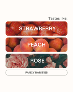 MONOGRAM – Deborah Afterglow