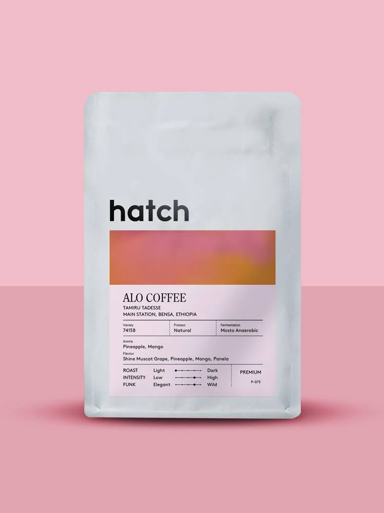 HATCH – Alo Coffee