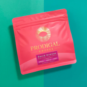 Prodigal - David Armijos