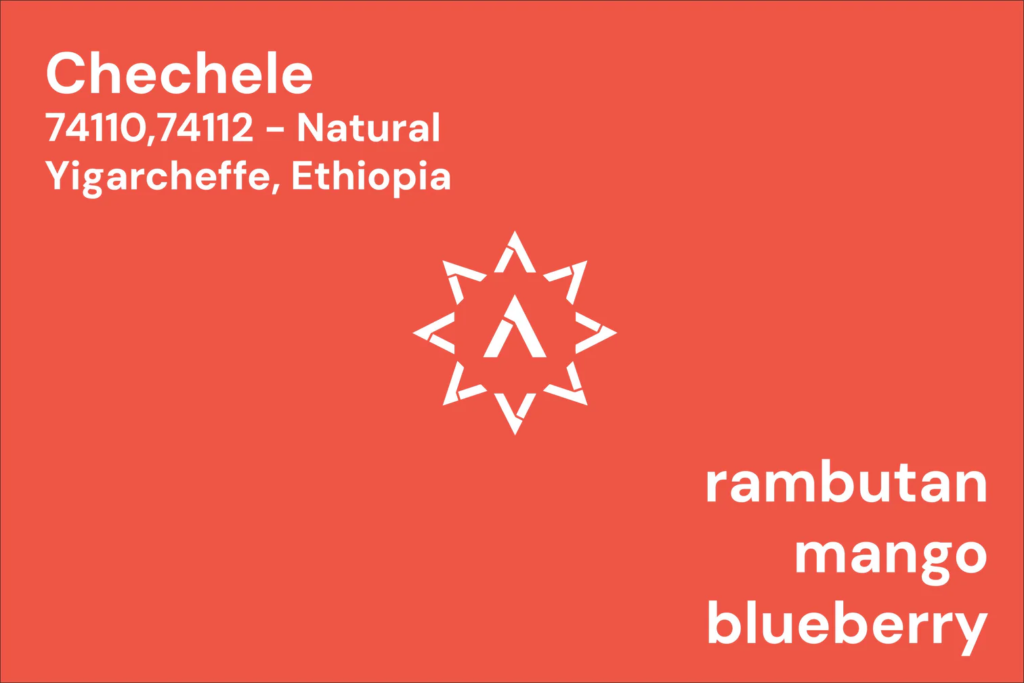 APOLLON’S GOLD – Chechele