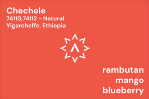 APOLLON’S GOLD – Chechele