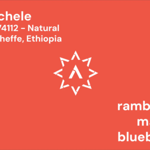 APOLLON'S GOLD - Chechele