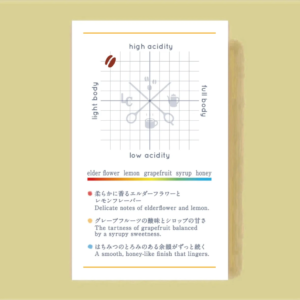 LILO – Niguse Gemeda Chire – Ethiopia – Washed