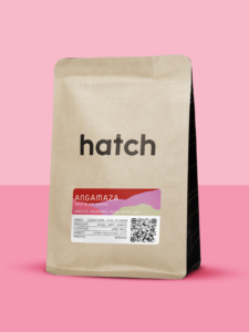 HATCH - Angamaza