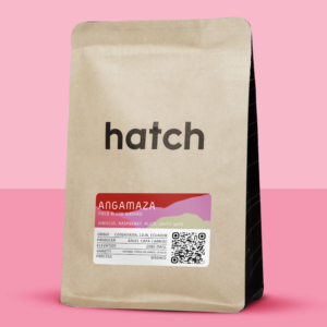 HATCH - Angamaza
