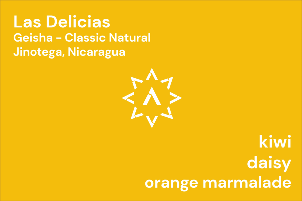 APOLLON’S GOLD – Las Delicias