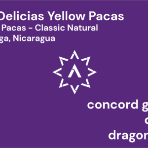 APOLLON'S GOLD - Las Delicias