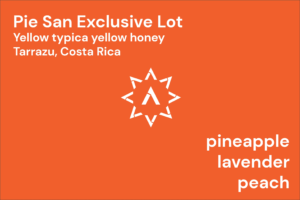 APOLLON'S GOLD - Pie San Exclusive Lot