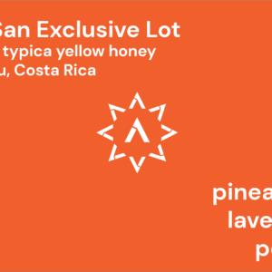 APOLLON'S GOLD - Pie San Exclusive Lot