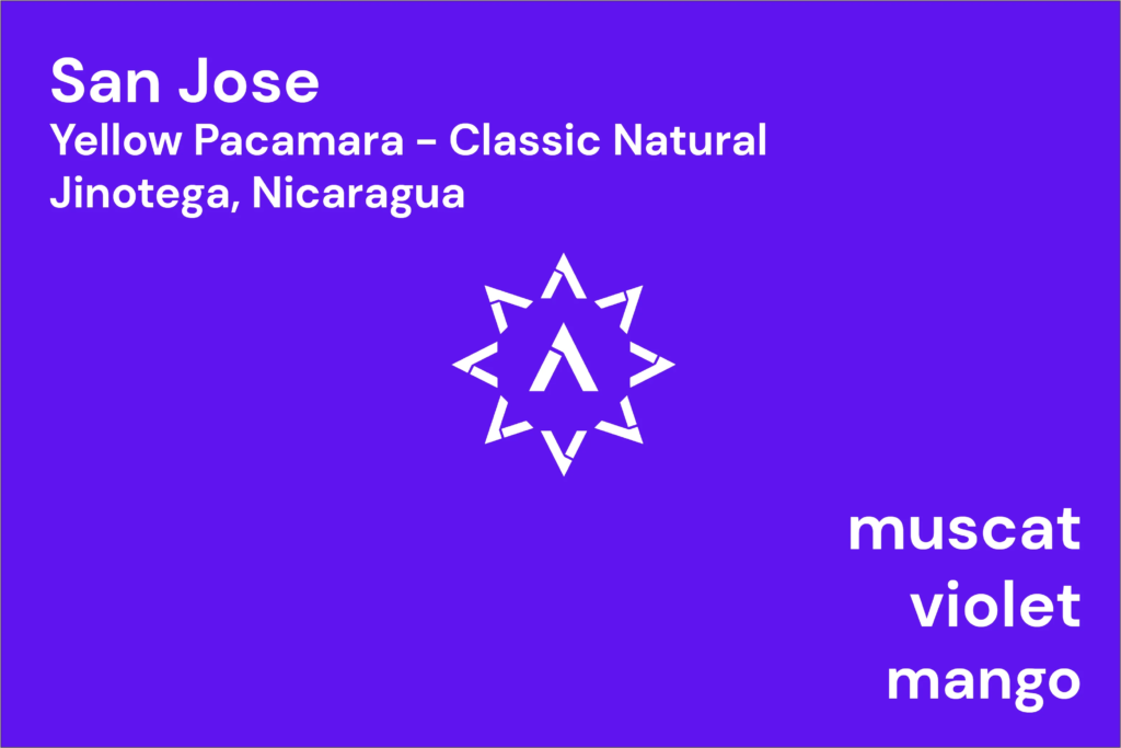 APOLLON’S GOLD – San Jose