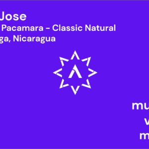 APOLLON'S GOLD - San Jose