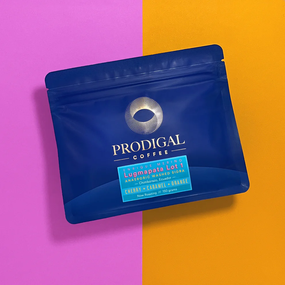 PRODIGAL – Lugmapata Lot 1