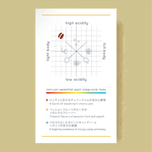 LILO – Colorful Blend – 2026 Spring