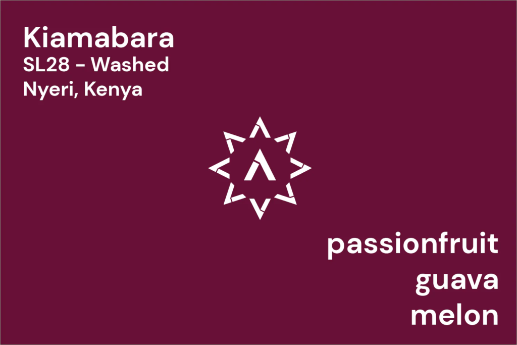 APOLLON’S GOLD – Kiamabara