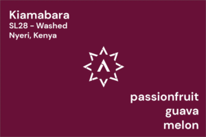 APOLLON’S GOLD – Kiamabara